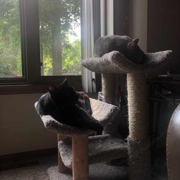 Hi, I’m Molli ✨💛🌻 - Picture 7 of 11